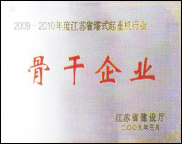 骨干企業(yè)